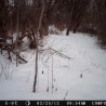 Spy cam